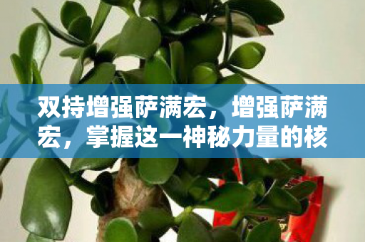 双持增强萨满宏,增强萨满宏,掌握这一神秘力量的核心要素 双持增强萨满宏,增强萨满宏,掌握这一神秘力量的核心要素