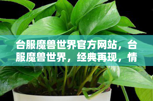 台服魔兽世界官方网站,台服魔兽世界,经典再现,情怀依旧 台服魔兽世界官方网站,台服魔兽世界,经典再现,情怀依旧