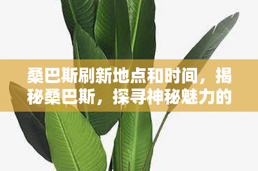 桑巴斯刷新地点和时间，揭秘桑巴斯，探寻神秘魅力的背后故事