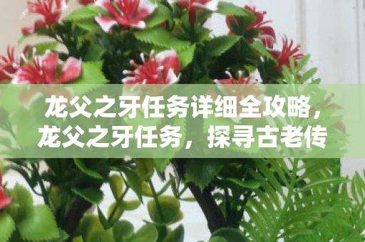 龙父之牙任务详细全攻略，龙父之牙任务，探寻古老传说中的勇气与荣耀