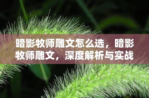 暗影牧师雕文怎么选,暗影牧师雕文,深度解析与实战应用 暗影牧师雕文怎么选,暗影牧师雕文,深度解析与实战应用