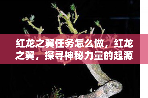 红龙之翼任务怎么做,红龙之翼,探寻神秘力量的起源与传承 红龙之翼任务怎么做,红龙之翼,探寻神秘力量的起源与传承