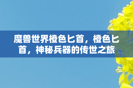 魔兽世界橙色匕首，橙色匕首，神秘兵器的传世之旅