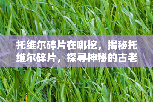 托维尔碎片在哪挖，揭秘托维尔碎片，探寻神秘的古老遗物背后的故事