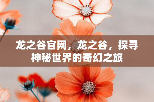 龙之谷官网,龙之谷,探寻神秘世界的奇幻之旅 龙之谷官网,龙之谷,探寻神秘世界的奇幻之旅