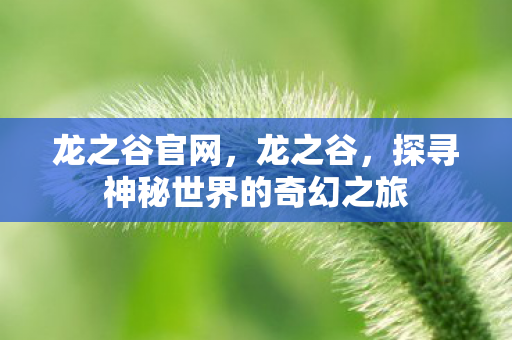 龙之谷官网,龙之谷,探寻神秘世界的奇幻之旅 龙之谷官网,龙之谷,探寻神秘世界的奇幻之旅