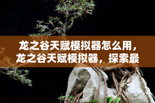 龙之谷天赋模拟器怎么用，龙之谷天赋模拟器，探索最佳天赋配置的秘密武器
