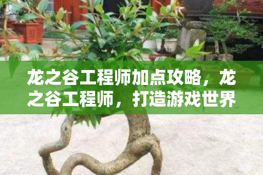 龙之谷工程师加点攻略,龙之谷工程师,打造游戏世界的核心力量 龙之谷工程师加点攻略,龙之谷工程师,打造游戏世界的核心力量