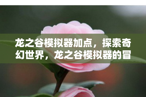龙之谷模拟器加点,探索奇幻世界,龙之谷模拟器的冒险之旅 龙之谷模拟器加点,探索奇幻世界,龙之谷模拟器的冒险之旅