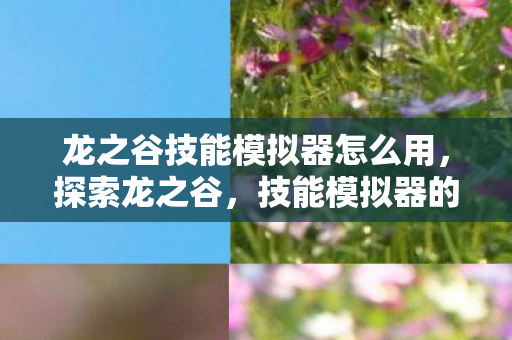 龙之谷技能模拟器怎么用，探索龙之谷，技能模拟器的魅力与挑战