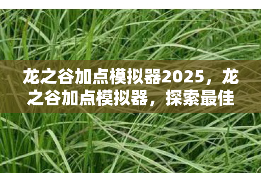 龙之谷加点模拟器2025,龙之谷加点模拟器,探索最佳技能配置,成为顶尖战士 龙之谷加点模拟器2025,龙之谷加点模拟器,探索最佳技能配置,成为顶尖战士
