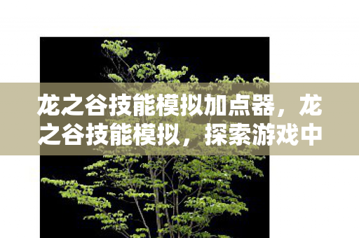 龙之谷技能模拟加点器,龙之谷技能模拟,探索游戏中的无尽可能 龙之谷技能模拟加点器,龙之谷技能模拟,探索游戏中的无尽可能