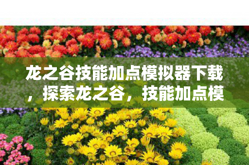 龙之谷技能加点模拟器下载,探索龙之谷,技能加点模拟器的深度解析 龙之谷技能加点模拟器下载,探索龙之谷,技能加点模拟器的深度解析
