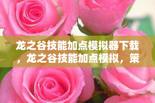 龙之谷技能加点模拟器下载，龙之谷技能加点模拟，策略与优化的深度解析