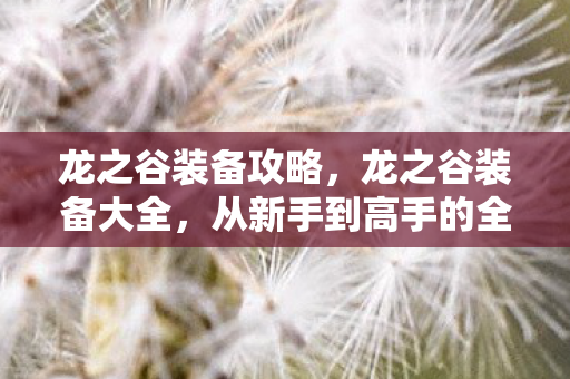 龙之谷装备攻略,龙之谷装备大全,从新手到高手的全方位指南 龙之谷装备攻略,龙之谷装备大全,从新手到高手的全方位指南