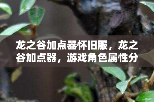 龙之谷加点器怀旧服,龙之谷加点器,游戏角色属性分配的艺术 龙之谷加点器怀旧服,龙之谷加点器,游戏角色属性分配的艺术