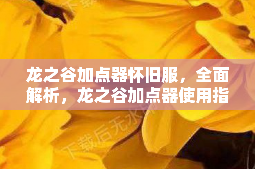 龙之谷加点器怀旧服,全面解析,龙之谷加点器使用指南 龙之谷加点器怀旧服,全面解析,龙之谷加点器使用指南