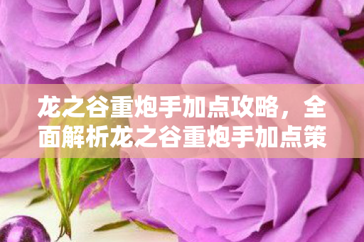 龙之谷重炮手加点攻略,全面解析龙之谷重炮手加点策略,掌握技能,成为顶尖高手! 龙之谷重炮手加点攻略,全面解析龙之谷重炮手加点策略,掌握技能,成为顶尖高手!