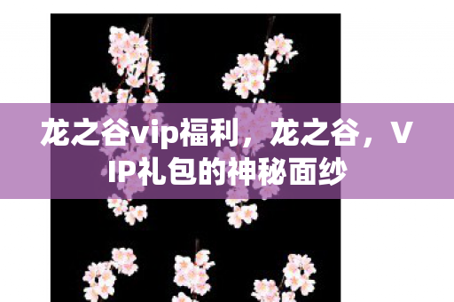 龙之谷vip福利，龙之谷，VIP礼包的神秘面纱