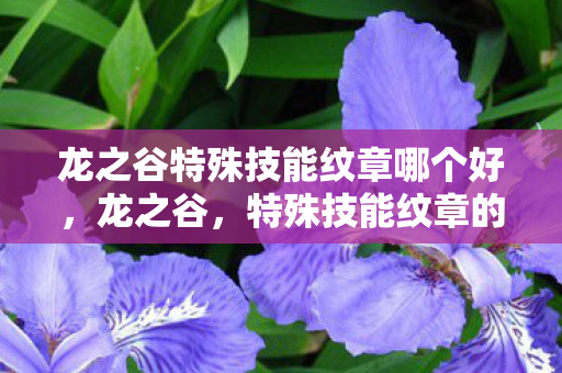 龙之谷特殊技能纹章哪个好，龙之谷，特殊技能纹章的奥秘