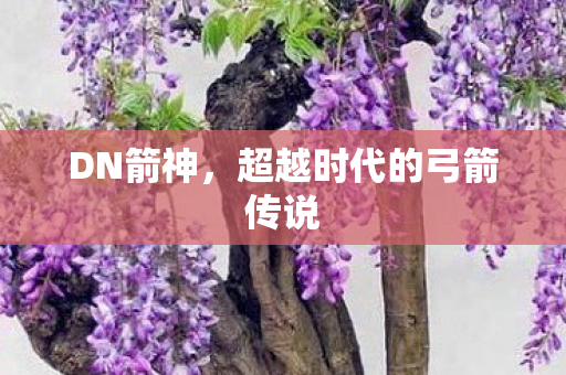 DN箭神,超越时代的弓箭传说 DN箭神,超越时代的弓箭传说
