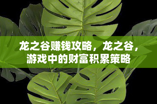 龙之谷赚钱攻略,龙之谷,游戏中的财富积累策略 龙之谷赚钱攻略,龙之谷,游戏中的财富积累策略