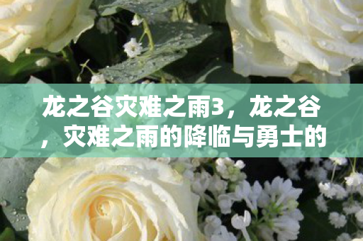 龙之谷灾难之雨3,龙之谷,灾难之雨的降临与勇士的奋战 龙之谷灾难之雨3,龙之谷,灾难之雨的降临与勇士的奋战