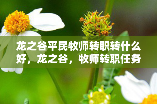 龙之谷平民牧师转职转什么好,龙之谷,牧师转职任务的挑战与荣耀 龙之谷平民牧师转职转什么好,龙之谷,牧师转职任务的挑战与荣耀