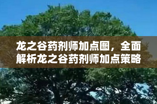 龙之谷药剂师加点图，全面解析龙之谷药剂师加点策略，成为顶尖玩家的必经之路