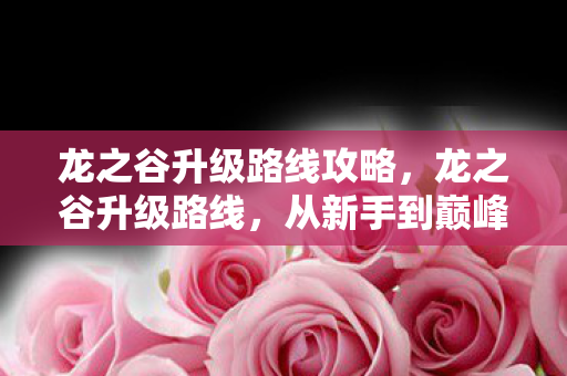 龙之谷升级路线攻略,龙之谷升级路线,从新手到巅峰的全面攻略 龙之谷升级路线攻略,龙之谷升级路线,从新手到巅峰的全面攻略