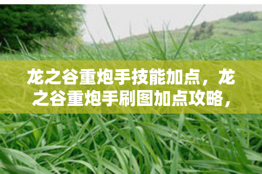 龙之谷重炮手技能加点,龙之谷重炮手刷图加点攻略,打造高效输出机器 龙之谷重炮手技能加点,龙之谷重炮手刷图加点攻略,打造高效输出机器