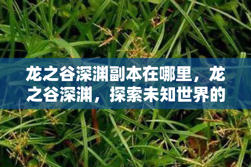 龙之谷深渊副本在哪里,龙之谷深渊,探索未知世界的神秘之旅 龙之谷深渊副本在哪里,龙之谷深渊,探索未知世界的神秘之旅
