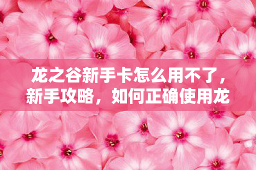 龙之谷新手卡怎么用不了,新手攻略,如何正确使用龙之谷新手卡 龙之谷新手卡怎么用不了,新手攻略,如何正确使用龙之谷新手卡