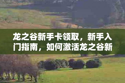龙之谷新手卡领取,新手入门指南,如何激活龙之谷新手卡 龙之谷新手卡领取,新手入门指南,如何激活龙之谷新手卡