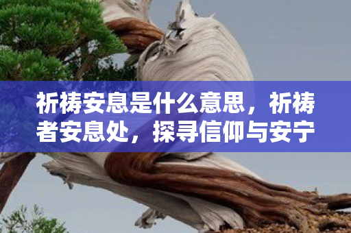 祈祷安息是什么意思,祈祷者安息处,探寻信仰与安宁的圣地 祈祷安息是什么意思,祈祷者安息处,探寻信仰与安宁的圣地