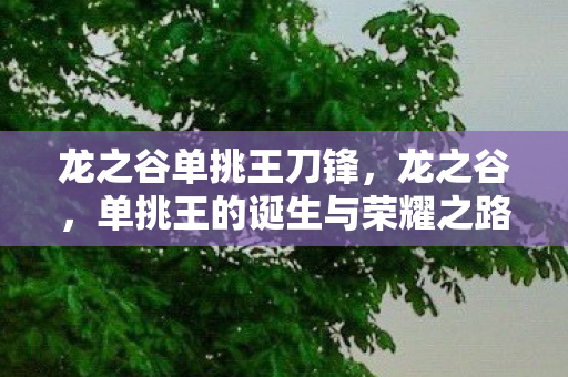 龙之谷单挑王刀锋，龙之谷，单挑王的诞生与荣耀之路