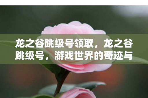 龙之谷跳级号领取，龙之谷跳级号，游戏世界的奇迹与挑战