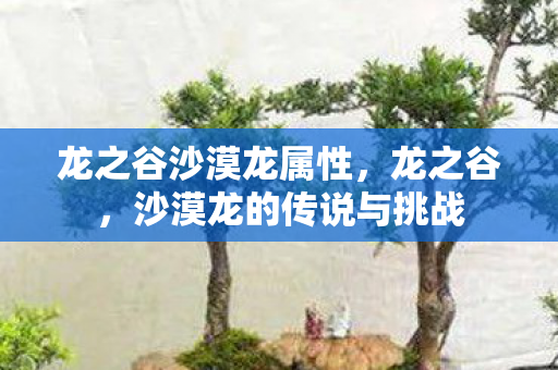 龙之谷沙漠龙属性，龙之谷，沙漠龙的传说与挑战