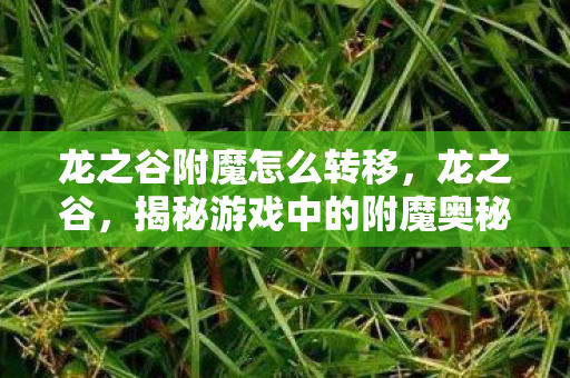 龙之谷附魔怎么转移,龙之谷,揭秘游戏中的附魔奥秘 龙之谷附魔怎么转移,龙之谷,揭秘游戏中的附魔奥秘