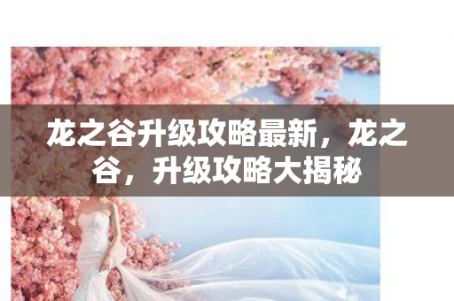 龙之谷升级攻略最新,龙之谷,升级攻略大揭秘 龙之谷升级攻略最新,龙之谷,升级攻略大揭秘