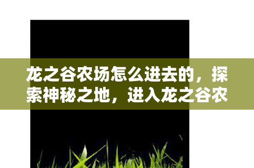 龙之谷农场怎么进去的,探索神秘之地,进入龙之谷农场的详细指南 龙之谷农场怎么进去的,探索神秘之地,进入龙之谷农场的详细指南