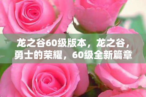 龙之谷60级版本，龙之谷，勇士的荣耀，60级全新篇章开启