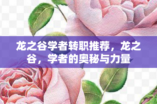 龙之谷学者转职推荐,龙之谷,学者的奥秘与力量 龙之谷学者转职推荐,龙之谷,学者的奥秘与力量