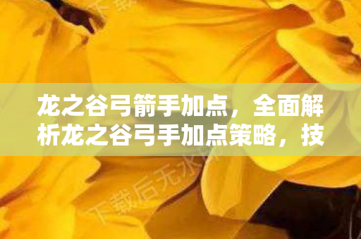 龙之谷弓箭手加点,全面解析龙之谷弓手加点策略,技能、属性与战术深度探讨 龙之谷弓箭手加点,全面解析龙之谷弓手加点策略,技能、属性与战术深度探讨
