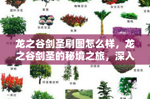 龙之谷剑圣刷图怎么样,龙之谷剑圣的秘境之旅,深入解析刷图攻略 龙之谷剑圣刷图怎么样,龙之谷剑圣的秘境之旅,深入解析刷图攻略