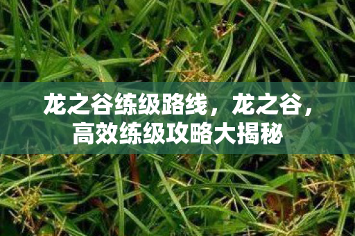 龙之谷练级路线,龙之谷,高效练级攻略大揭秘 龙之谷练级路线,龙之谷,高效练级攻略大揭秘