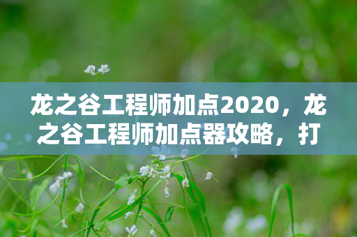 龙之谷工程师加点2020,龙之谷工程师加点器攻略,打造顶尖战力 龙之谷工程师加点2020,龙之谷工程师加点器攻略,打造顶尖战力