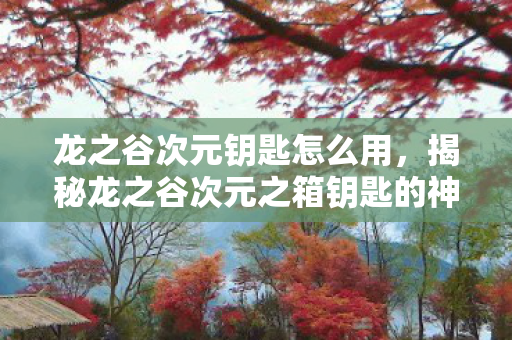 龙之谷次元钥匙怎么用,揭秘龙之谷次元之箱钥匙的神秘面纱 龙之谷次元钥匙怎么用,揭秘龙之谷次元之箱钥匙的神秘面纱