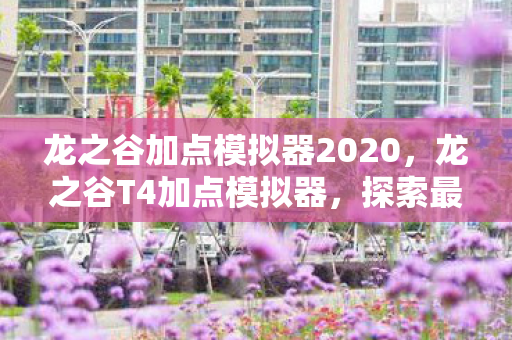 龙之谷加点模拟器2020,龙之谷T4加点模拟器,探索最佳属性分配策略 龙之谷加点模拟器2020,龙之谷T4加点模拟器,探索最佳属性分配策略