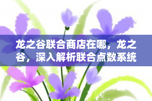 龙之谷联合商店在哪,龙之谷,深入解析联合点数系统 龙之谷联合商店在哪,龙之谷,深入解析联合点数系统